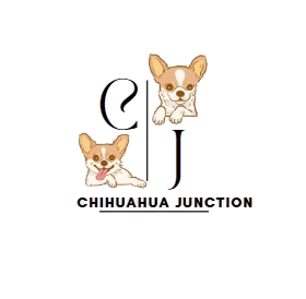 chihuahua junction
