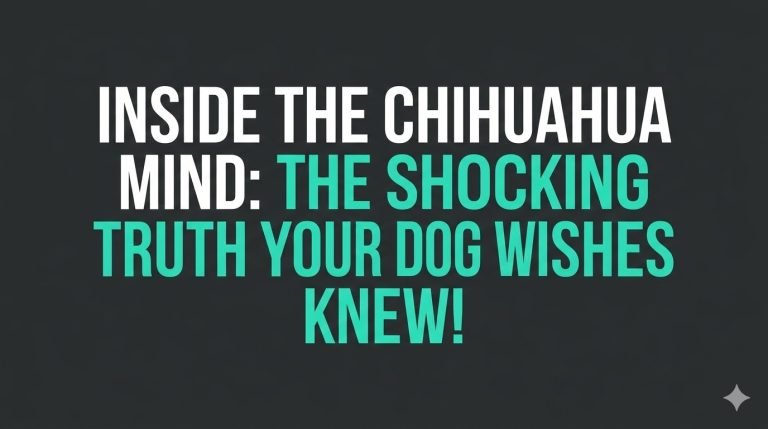 a text based image where written - Living with a Chihuahua: Understanding the Psychology, Environment, and Emotional Life of a Small but Complex Dog