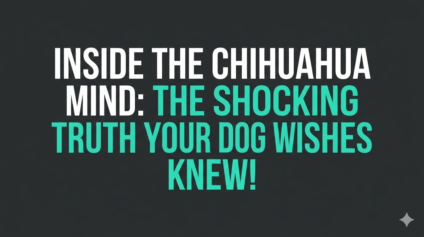 a text based image where written - Living with a Chihuahua: Understanding the Psychology, Environment, and Emotional Life of a Small but Complex Dog