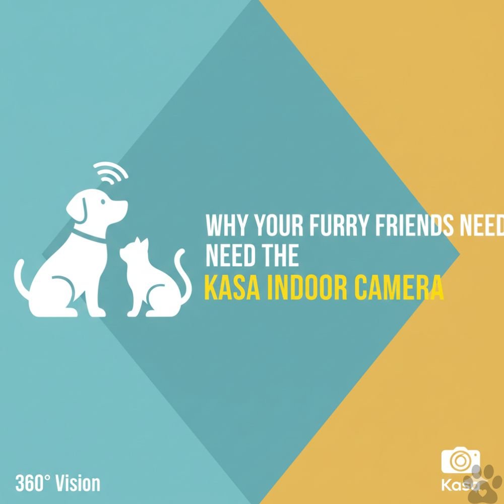 A vibrant, modern graphic with a teal and yellow geometric background featuring the title 'Why Your Furry Friends Need the Kasa Indoor Camera.' The design includes white silhouettes of a dog and a cat, a '360° Vision' label, and the Kasa logo in the bottom corner.
