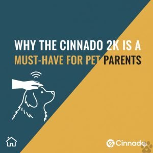 A professional graphic with a split teal and gold background featuring the title 'Why the Cinnado 2K is a Must-Have for Pet Parents' in bold white and dark text. The design includes a white line-art illustration of a hand petting a dog with a signal icon above it, along with a smart home icon and the Cinnado logo at the bottom."