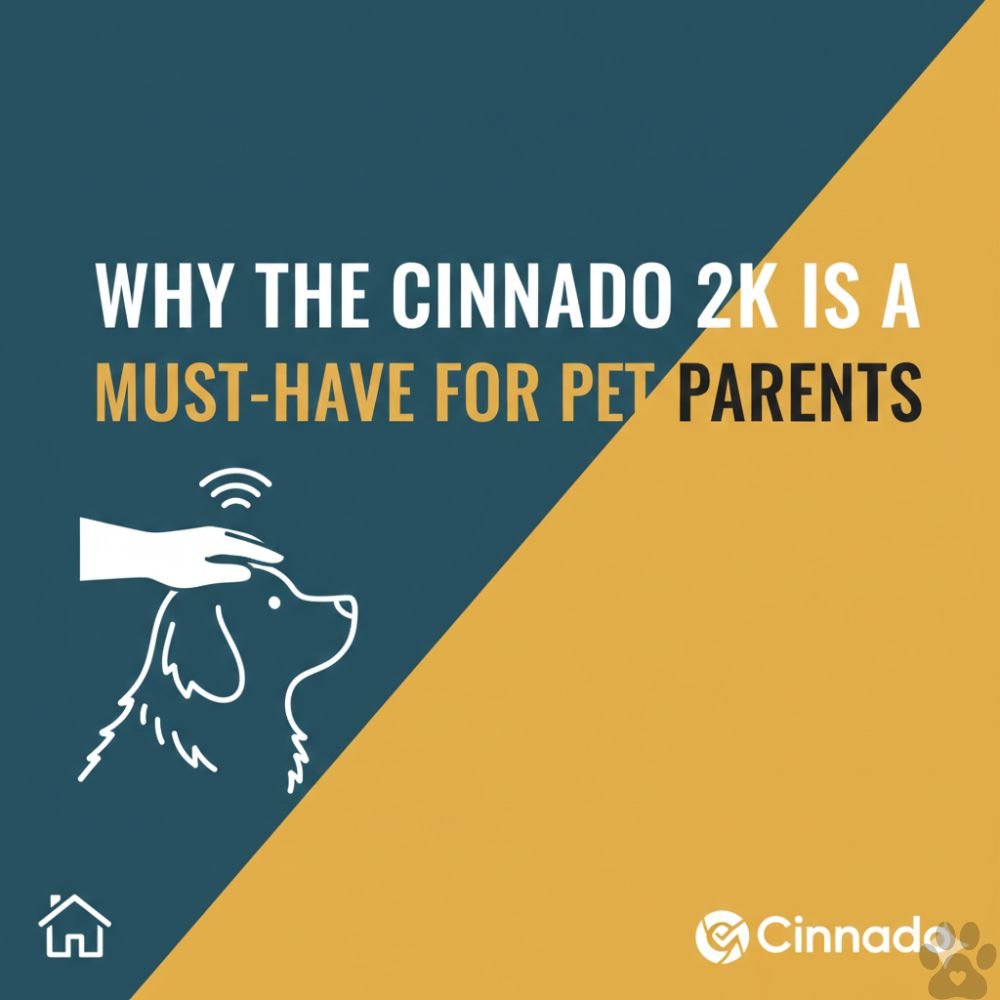 A professional graphic with a split teal and gold background featuring the title 'Why the Cinnado 2K is a Must-Have for Pet Parents' in bold white and dark text. The design includes a white line-art illustration of a hand petting a dog with a signal icon above it, along with a smart home icon and the Cinnado logo at the bottom."