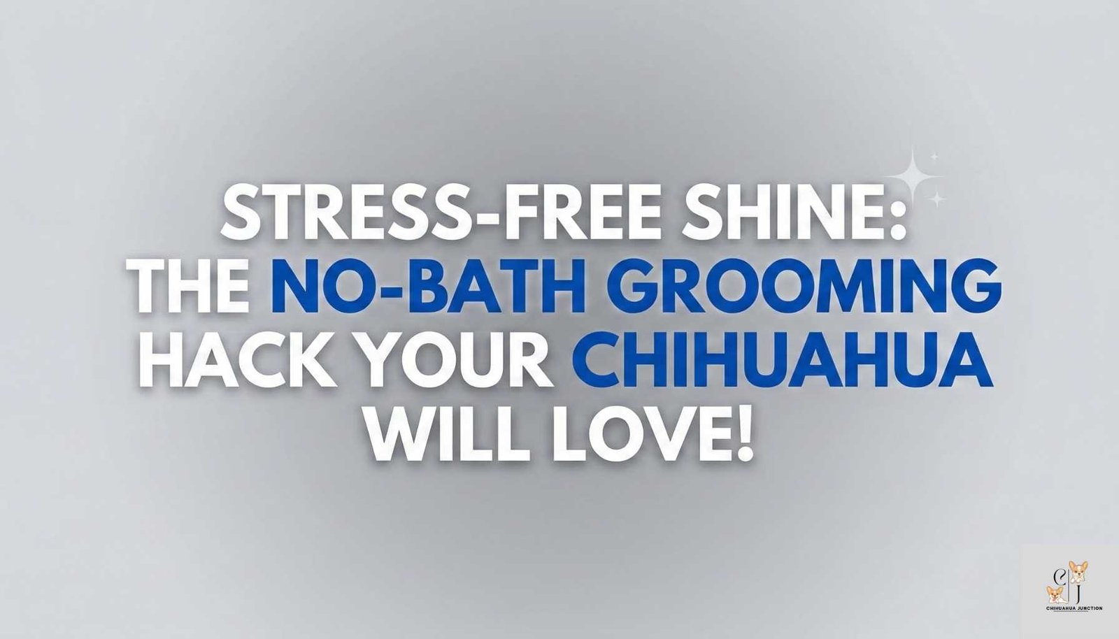 a text based image where written - Waterless Grooming Techniques for Anxious or Shivering Chihuahuas